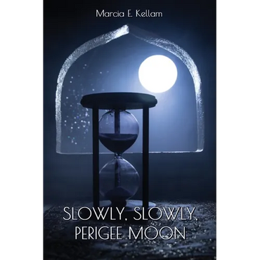 Slowly, Slowly, Perigee Moon - Paperback