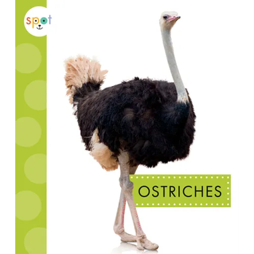 Ostriches - Library Binding