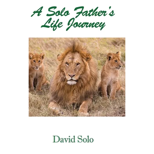 A Solo Father's Life Journey - Hardcover