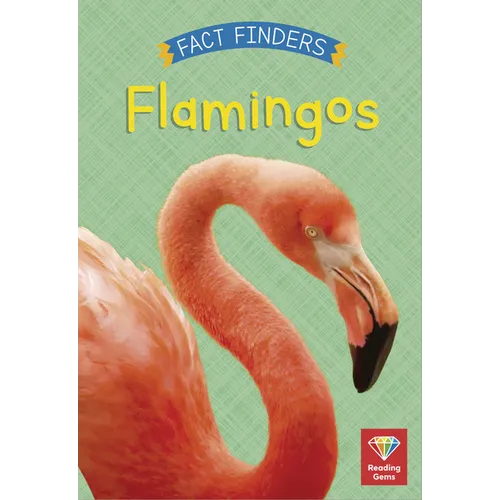 Flamingos - Paperback