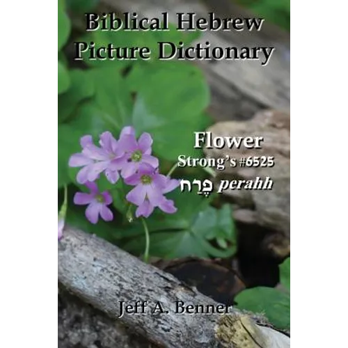 Biblical Hebrew Picture Dictionary - Paperback