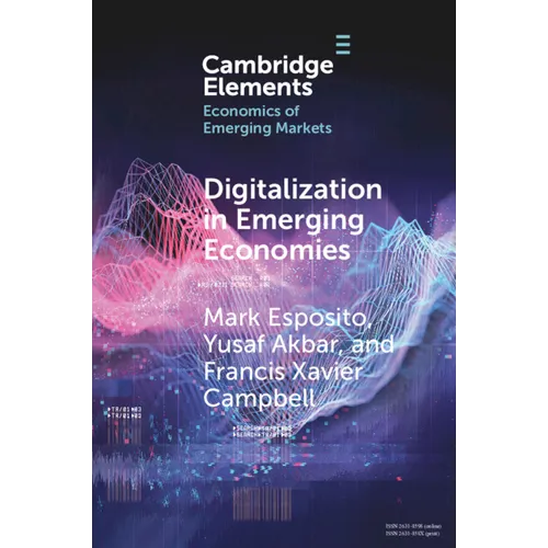 Digitalization in Emerging Economies - Paperback