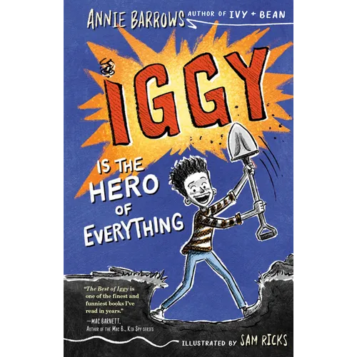 Iggy Is the Hero of Everything - Hardcover
