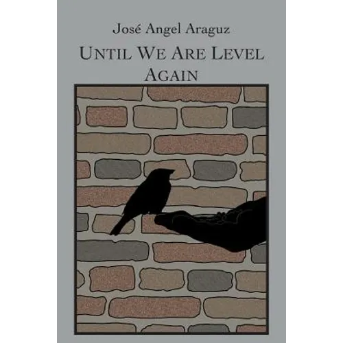 Until We Are Level Again - Paperback
