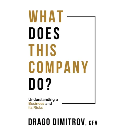 What Does This Company Do?: Understanding a Business and its Risks - Paperback