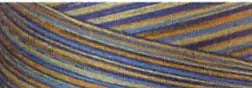 Cotton Quilting Thread 3-ply 40wt 3000yds Variegated French Country