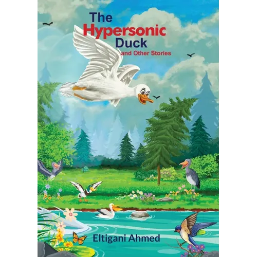 The Hypersonic Duck and Other Stories - Paperback