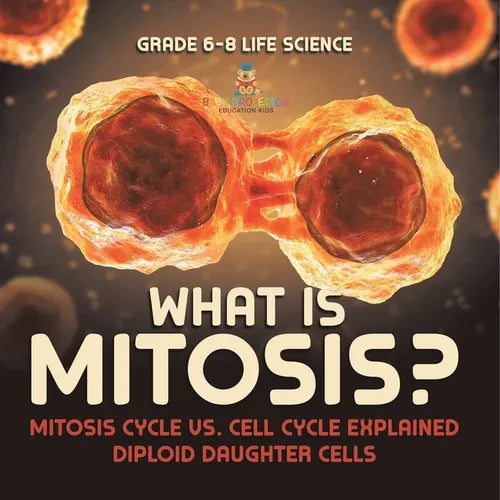 What is Mitosis? Mitosis Cycle vs. Cell Cycle Explained Diploid Daughter Cells Grade 6-8 Life Science - Paperback