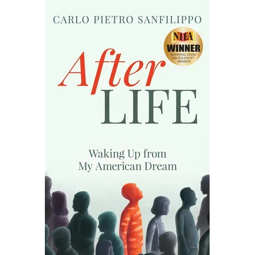 AfterLIFE: Waking Up from My American Dream - Paperback