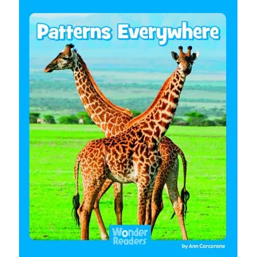 Patterns Everywhere - Paperback