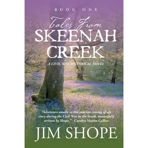 Tales From Skeenah Creek: A Civil War Historical Fiction Novel - Paperback