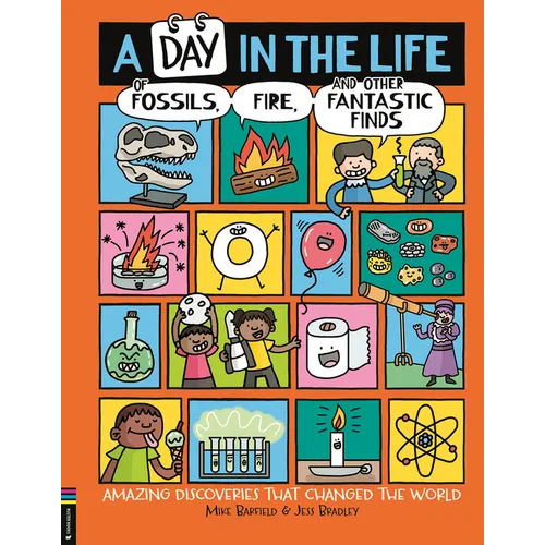 A Day in the Life of Fossils, Fire and Other Fantastic Finds: Amazing Discoveries That Changed the World - Hardcover