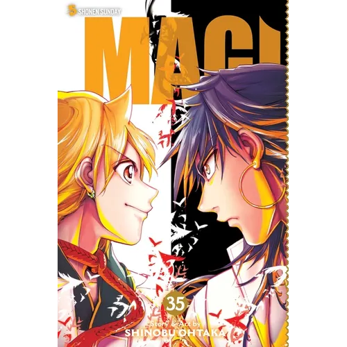 Magi: The Labyrinth of Magic, Vol. 35 - Paperback