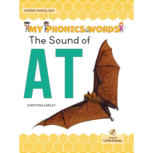 The Sound of at - Paperback