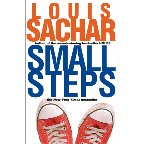 Small Steps - Hardcover