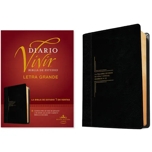 Biblia de Estudio del Diario Vivir Rvr60, Letra Grande (Letra Roja, Sentipiel, Negro/Ónice) - Imitation Leather