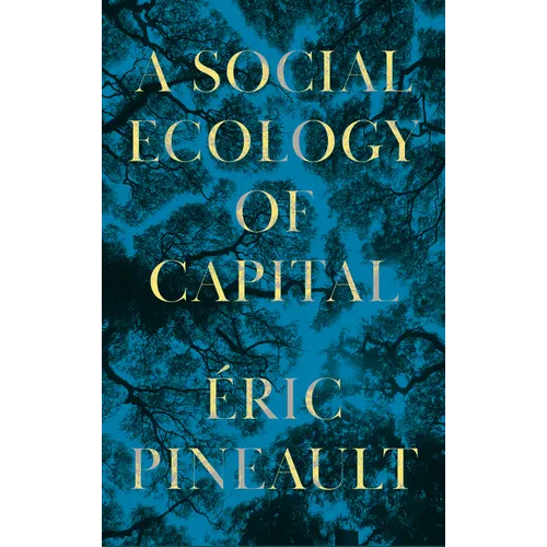 A Social Ecology of Capital - Paperback