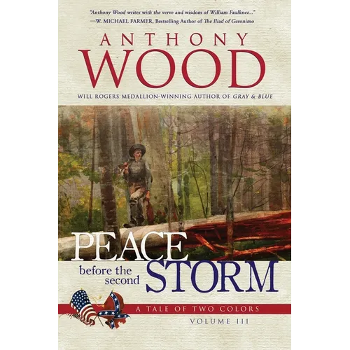 Peace Before the Second Storm: A Story of the Civil War - Paperback