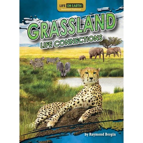 Grassland Life Connections - Paperback