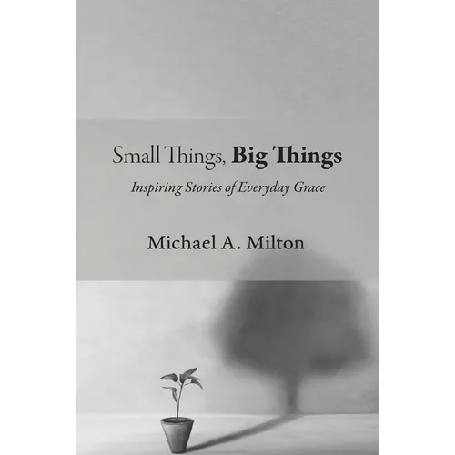 Small Things, Big Things - Paperback