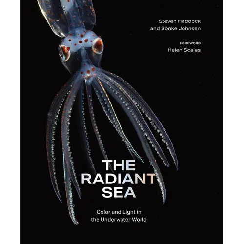 The Radiant Sea: Color and Light in the Underwater World - Hardcover
