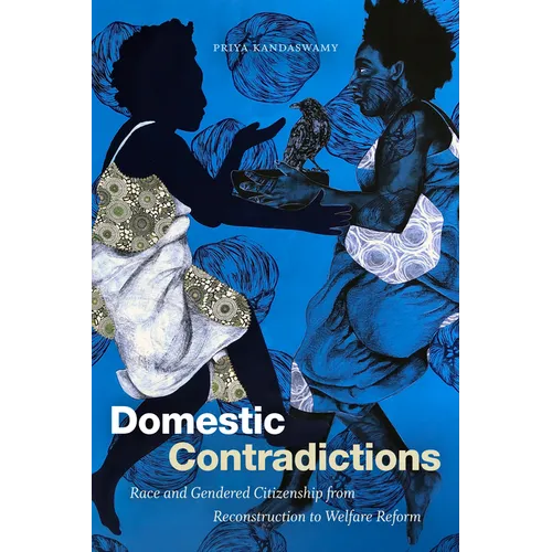 Domestic Contradictions: Race and Gendered Citizenship from Reconstruction to Welfare Reform - Paperback