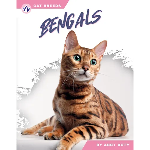 Bengals - Paperback