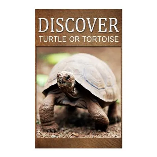Turtle Or Tortoise - Discover: Early reader's wildlife photography book - Paperback