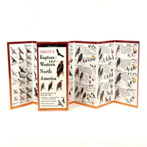 Sibley's Raptors of Western N. America