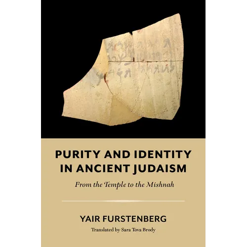 Purity and Identity in Ancient Judaism: From the Temple to the Mishnah - Paperback