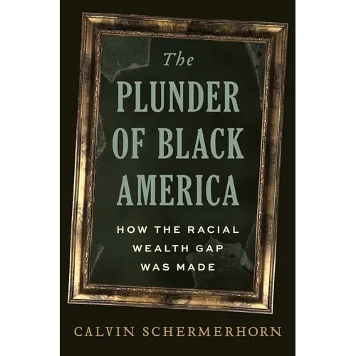 The Plunder of Black America: How the Racial Wealth Gap Was Made - Hardcover