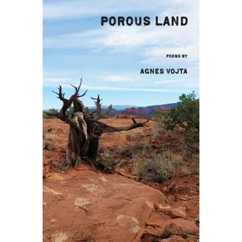 Porous Land - Paperback