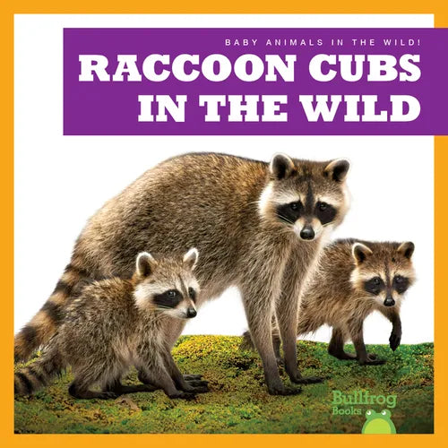 Raccoon Cubs in the Wild - Paperback