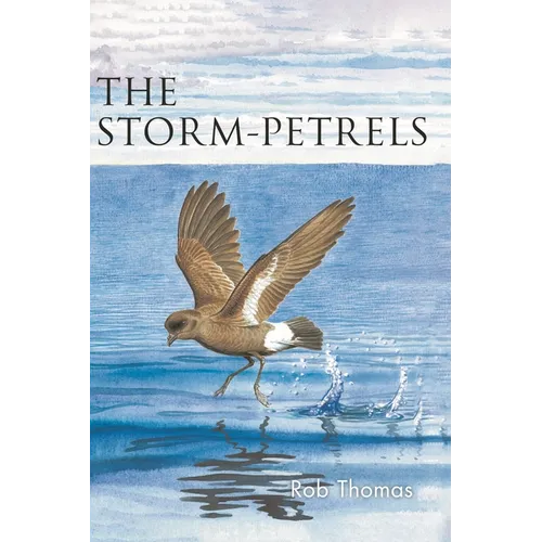 The Storm-Petrels - Paperback
