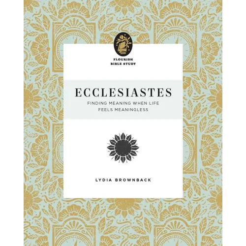 Ecclesiastes: Finding Meaning When Life Feels Meaningless - Paperback