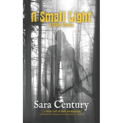 A Small Light & Other Stories - Paperback
