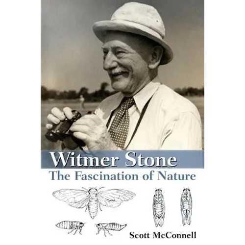 Witmer Stone: The Fascination of Nature - Paperback
