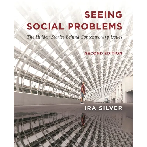 Seeing Social Problems: The Hidden Stories Behind Contemporary Issues - Paperback