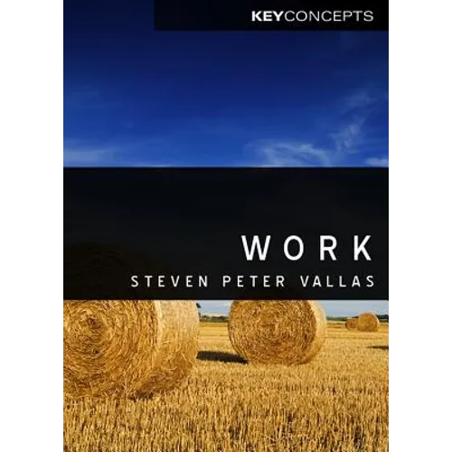 Work: A Critique - Paperback