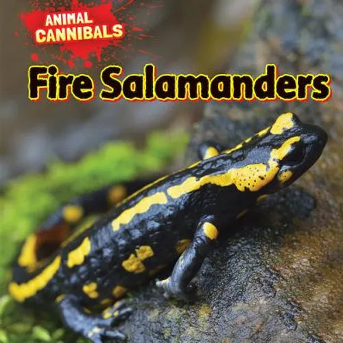 Fire Salamanders - Library Binding