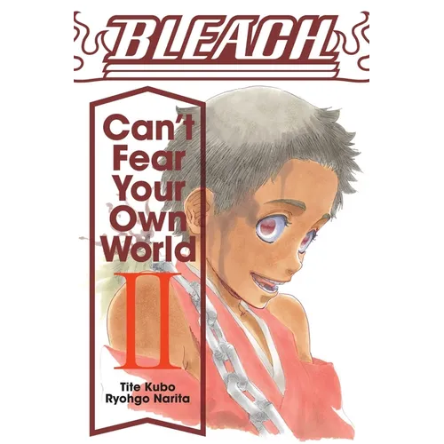Bleach: Can't Fear Your Own World, Vol. 2 - Paperback