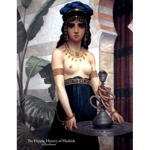 The Hippie History of Hashish - Paperback