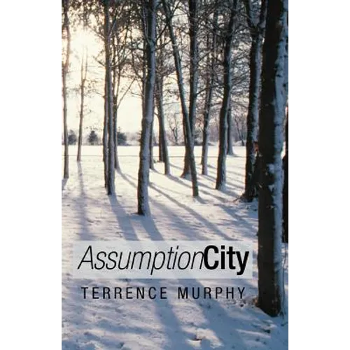 Assumption City - Paperback