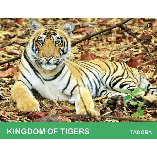 Kingdom of Tigers - Tadoba - Paperback