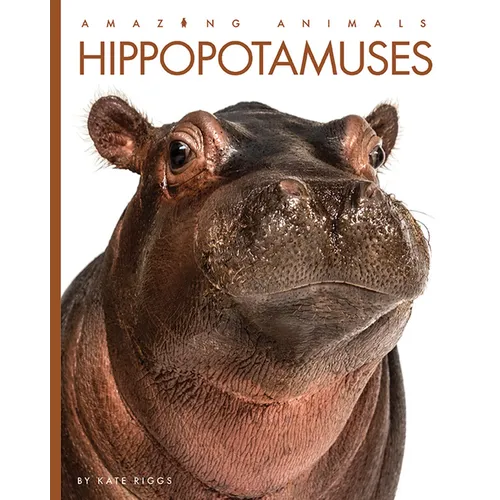 Hippopotamuses - Library Binding