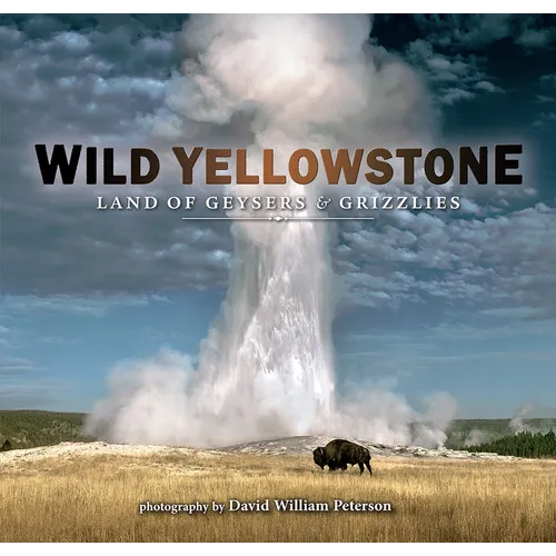Wild Yellowstone: Land of Geysers and Grizzlies - Paperback