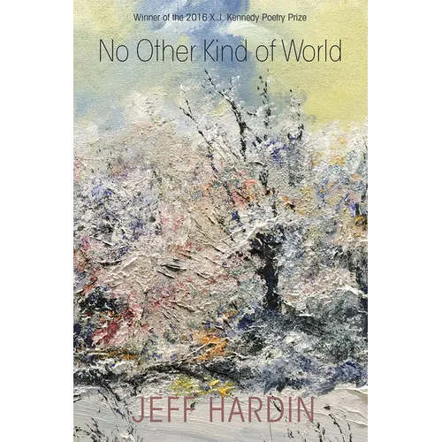 No Other Kind of World - Paperback