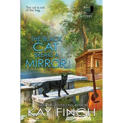 The Black Cat Breaks a Mirror - Paperback