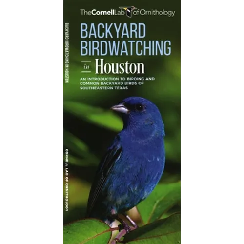 Backyard Birdwatching in Houston: An Introduction to Birding and Common Backyard Birds of Southeastern Texas