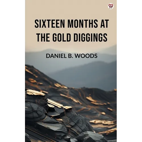 Sixteen Months At The Gold Diggings - Paperback